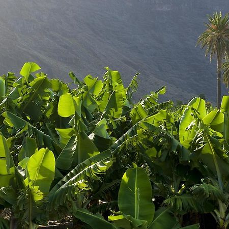 Hotel Playa Calera バジェ・グラン・レイ エクステリア 写真